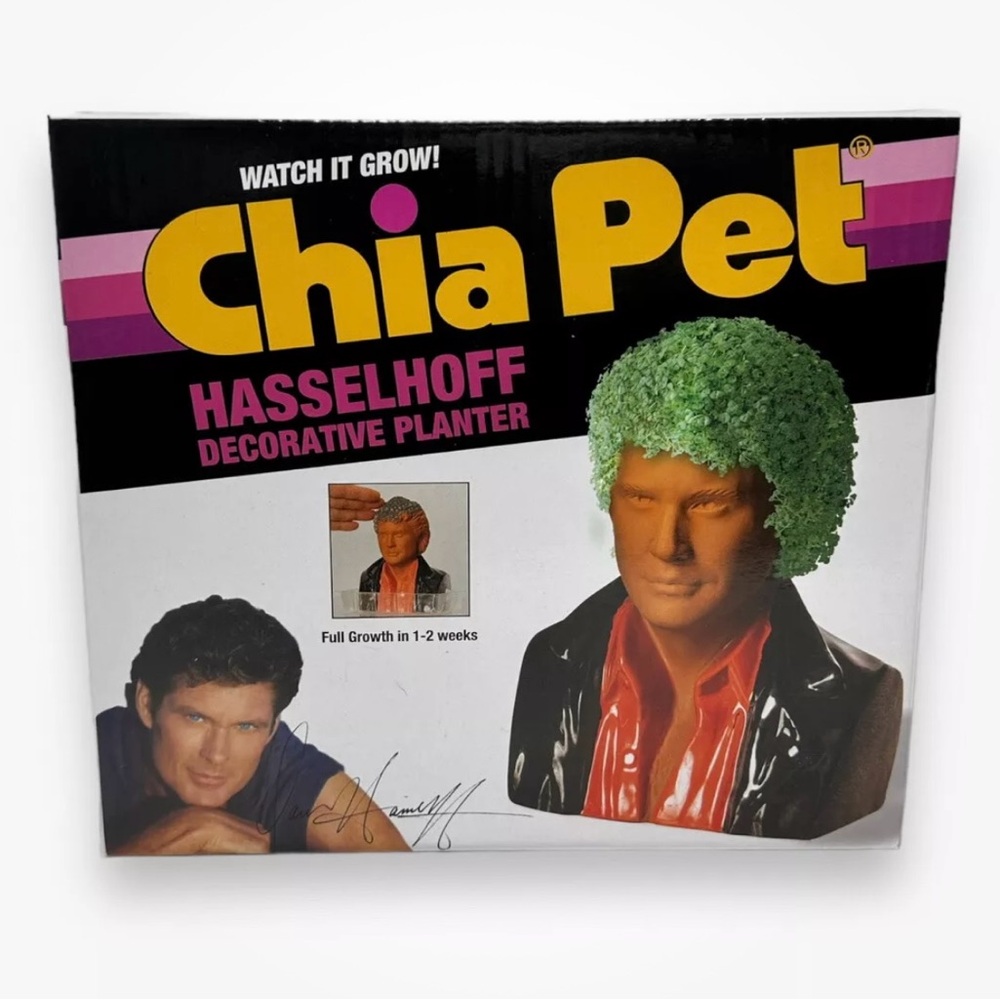 David Hasselhoff Chia Pet Plant Bust Baywatch Night Rider The Hoff Planter Gift